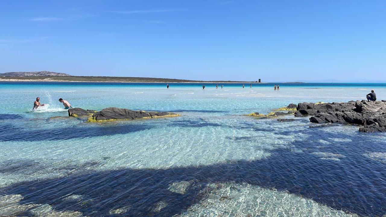I Pescatori Di Stelle-L12 Altair Βίλα Stintino Εξωτερικό φωτογραφία
