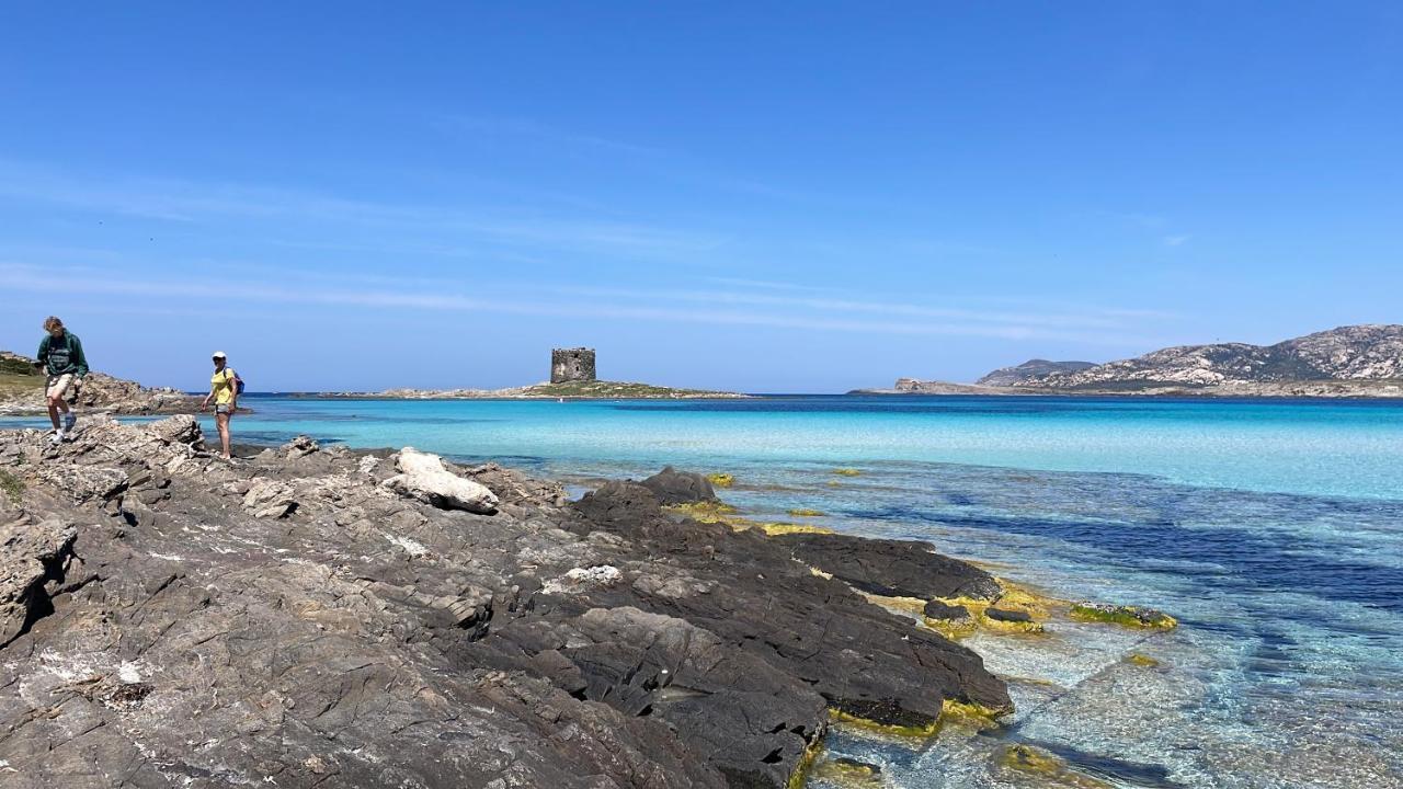 I Pescatori Di Stelle-L12 Altair Βίλα Stintino Εξωτερικό φωτογραφία