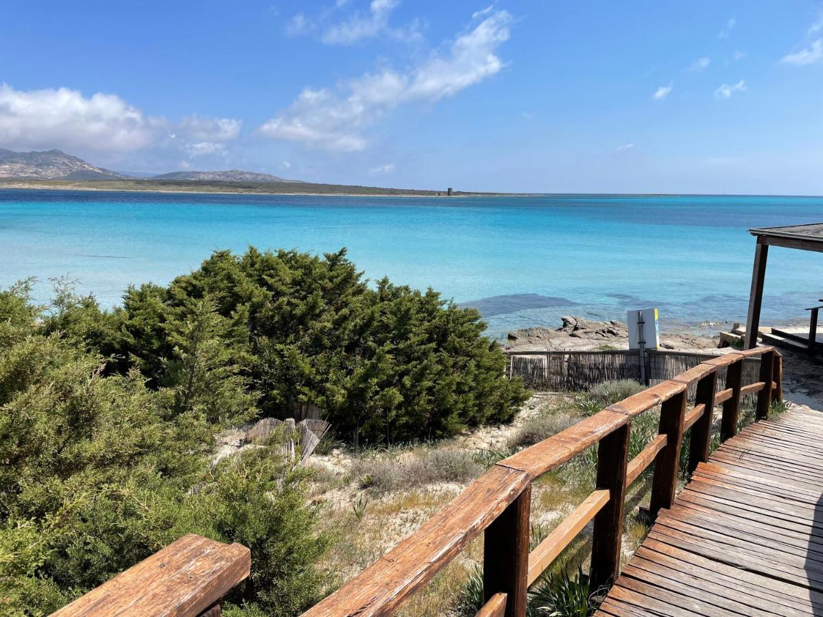 I Pescatori Di Stelle-L12 Altair Βίλα Stintino Εξωτερικό φωτογραφία