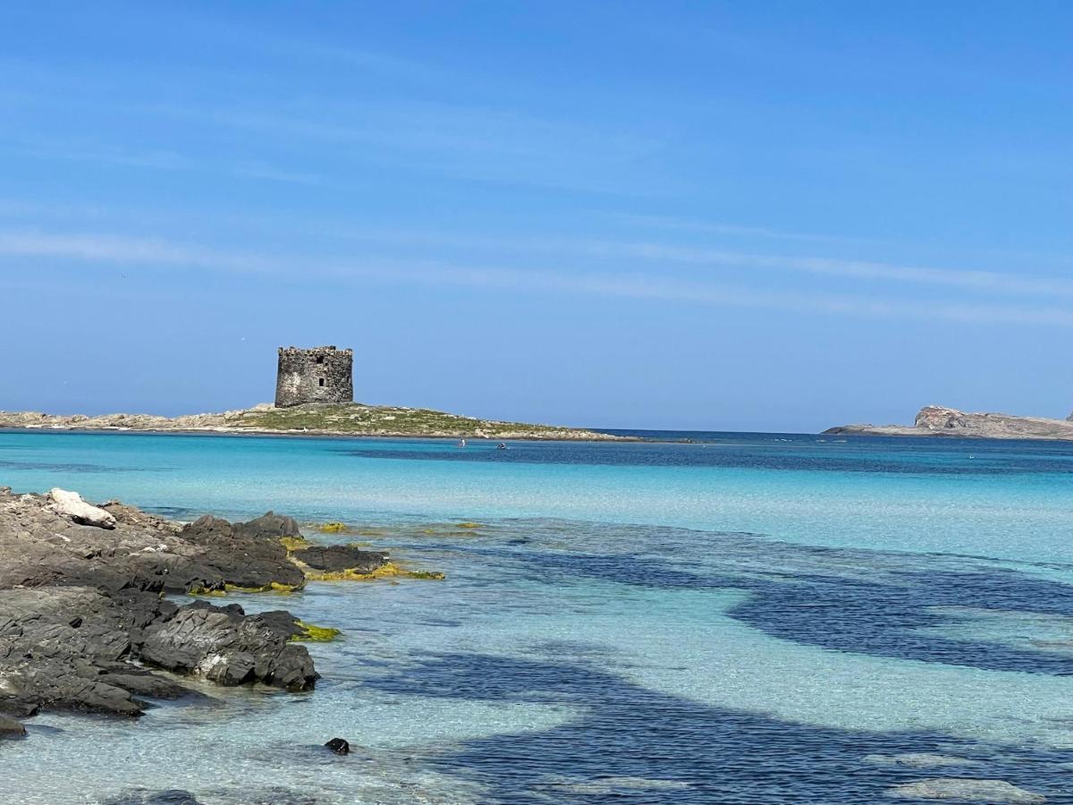 I Pescatori Di Stelle-L12 Altair Βίλα Stintino Εξωτερικό φωτογραφία