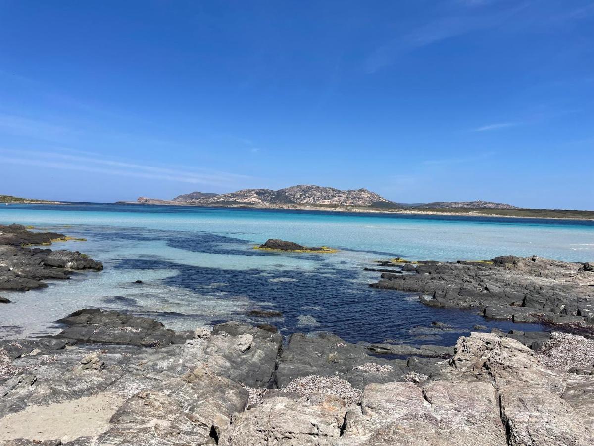 I Pescatori Di Stelle-L12 Altair Βίλα Stintino Εξωτερικό φωτογραφία