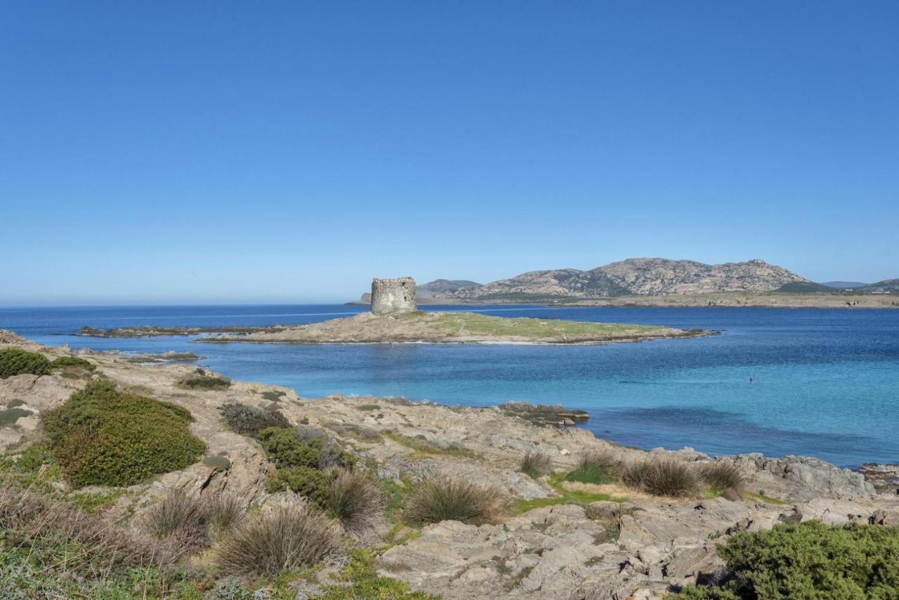 I Pescatori Di Stelle-L12 Altair Βίλα Stintino Εξωτερικό φωτογραφία