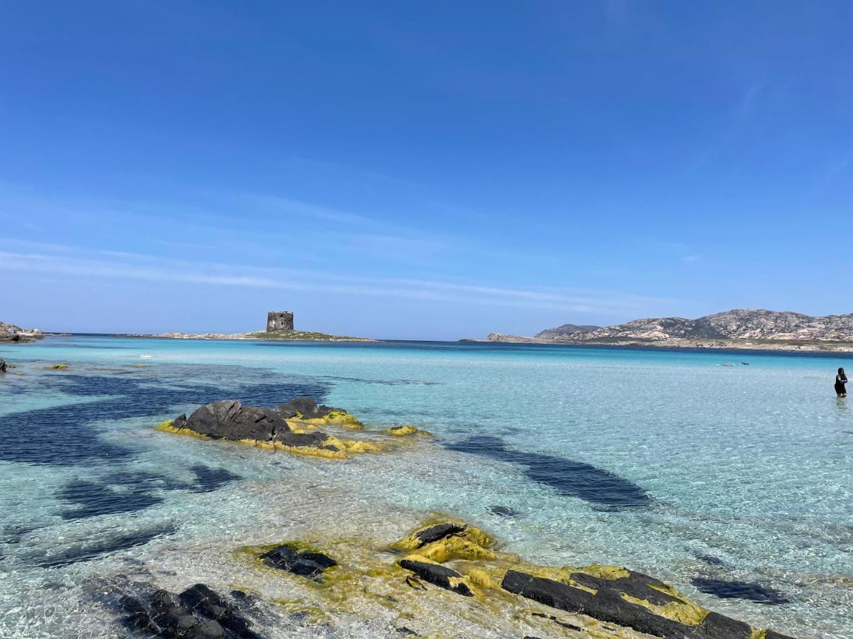 I Pescatori Di Stelle-L12 Altair Βίλα Stintino Εξωτερικό φωτογραφία